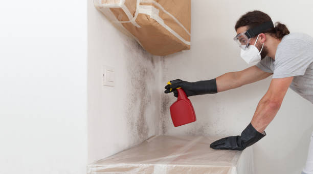 Attic Mold Remediation treatment on roof deck in Randolph